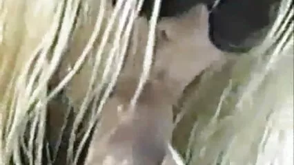 Une blonde porn douche épaisse lui donne un cul de black pour entrer.