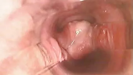 La fille a sauté sur deux mecs porn sous la douche
